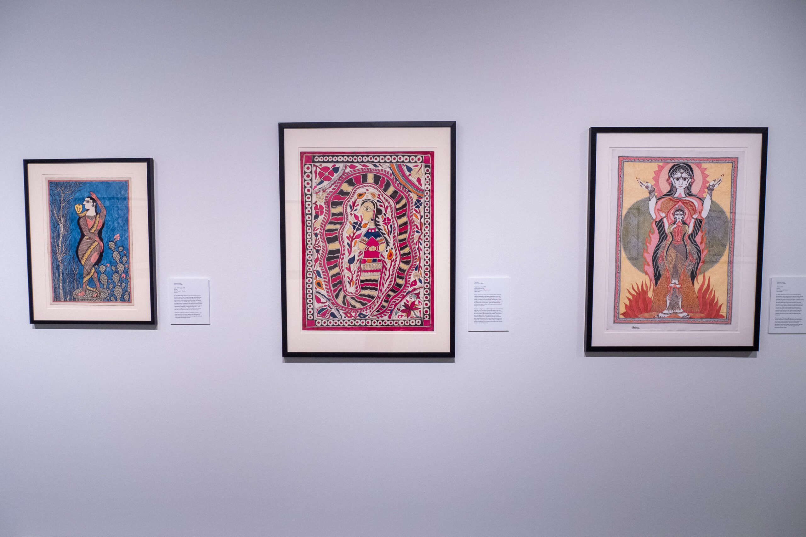 ミティラー ペインティング（インド） Mithila paintings challenge gender norms, violence in SU
