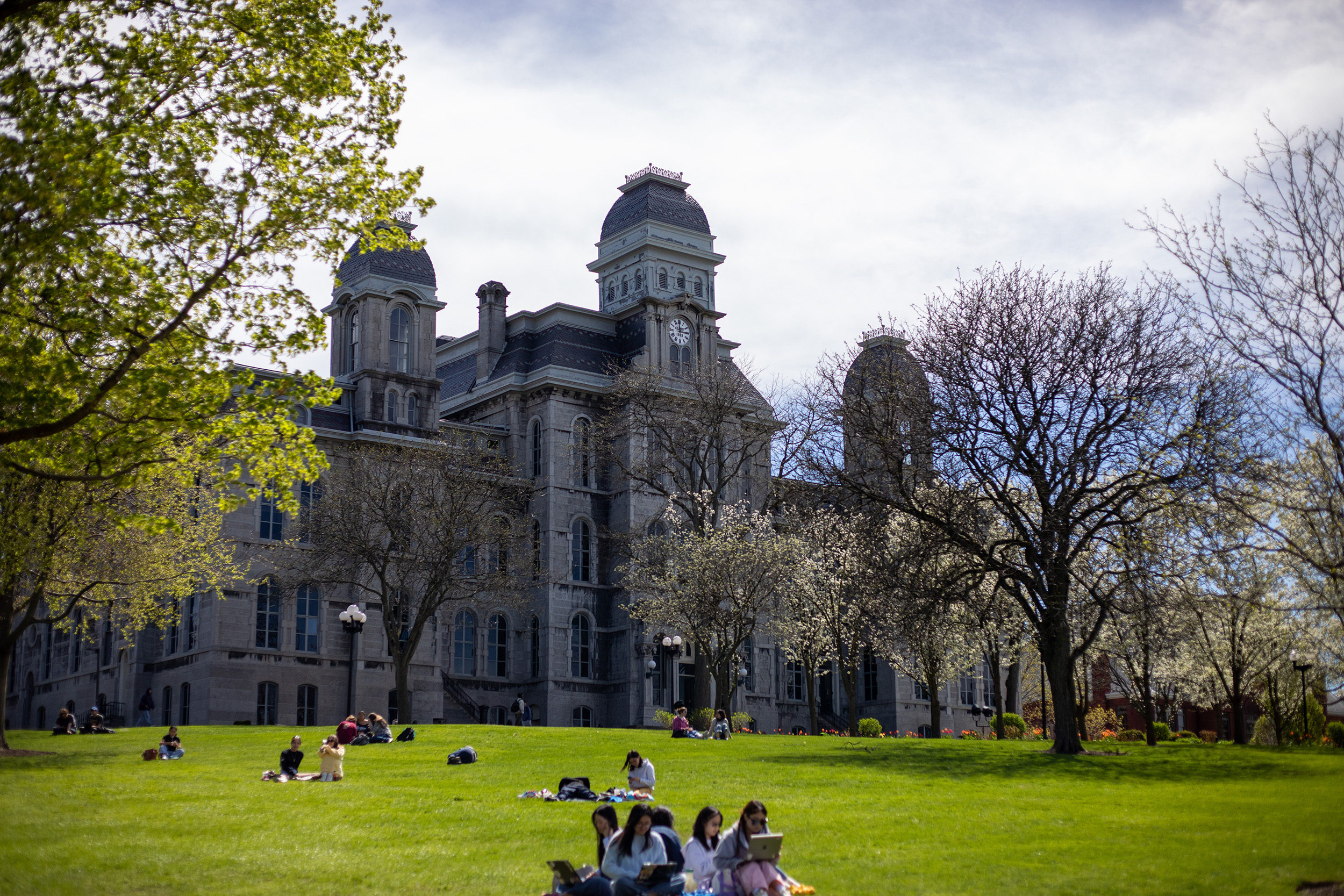 Who are the trustees on the chancellor search committee?, image size:2500x1667