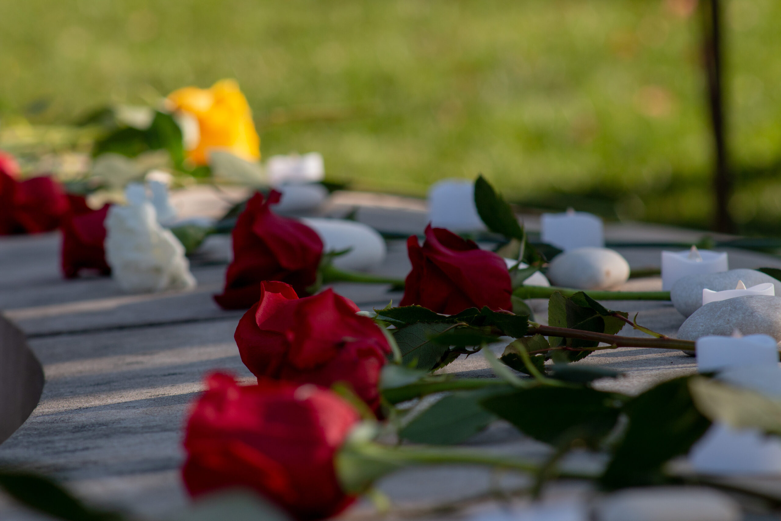 SU announces 2023-2024 Remembrance Scholars - Vimarsana News