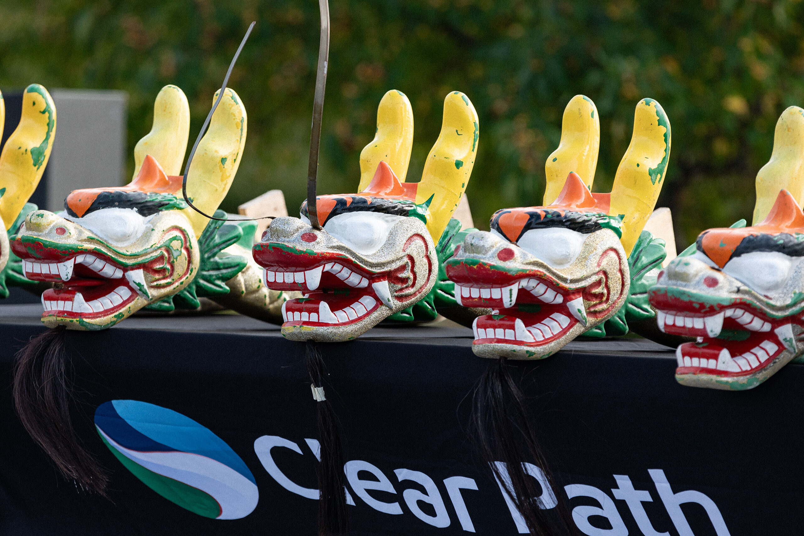 Traditional dragon boats come to life at the first annual Inner Harbor Festival - Vimarsana News