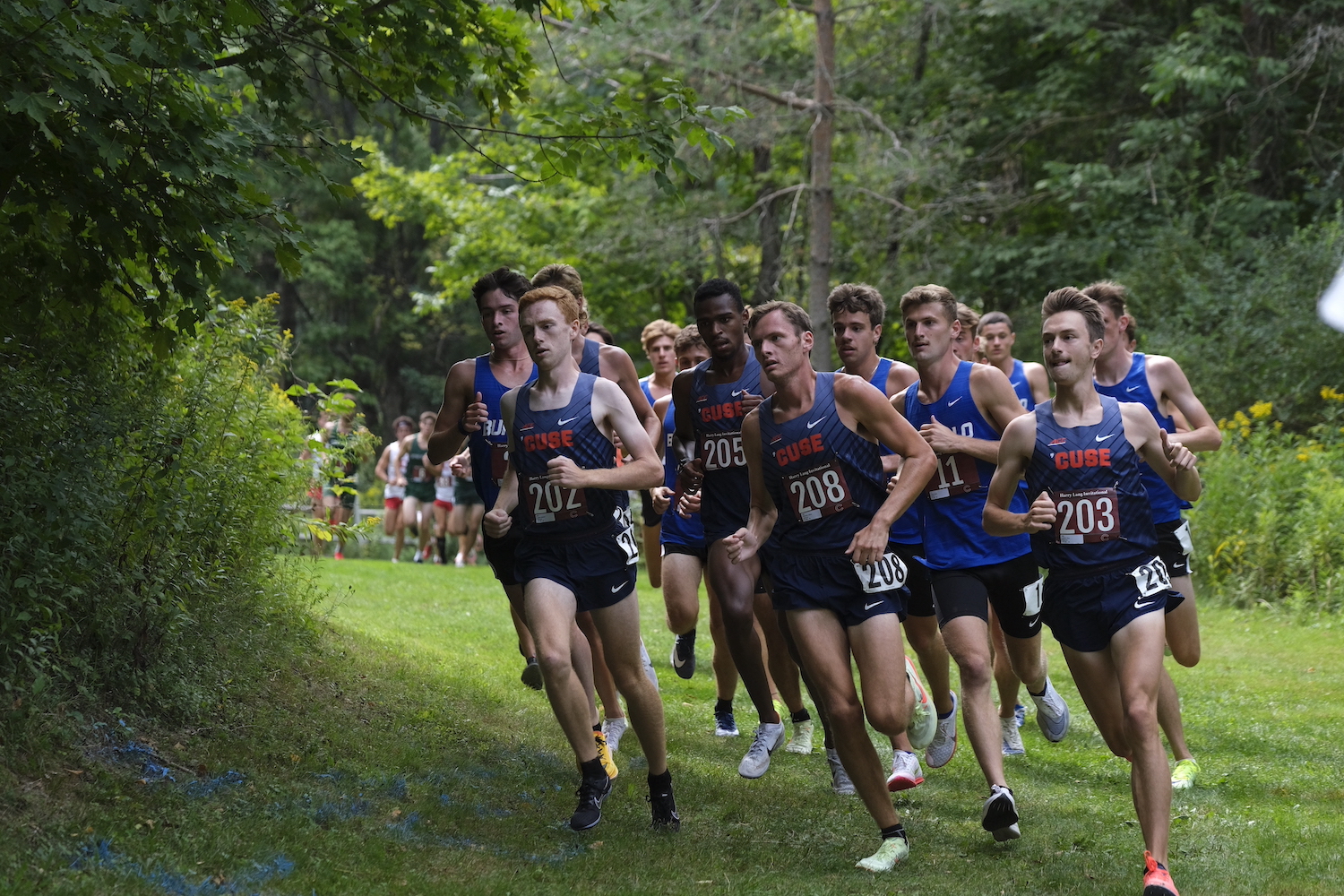 Syracuse men's cross country remains at No. 6, women's falls to No. 25 in latest poll - Vimarsana News