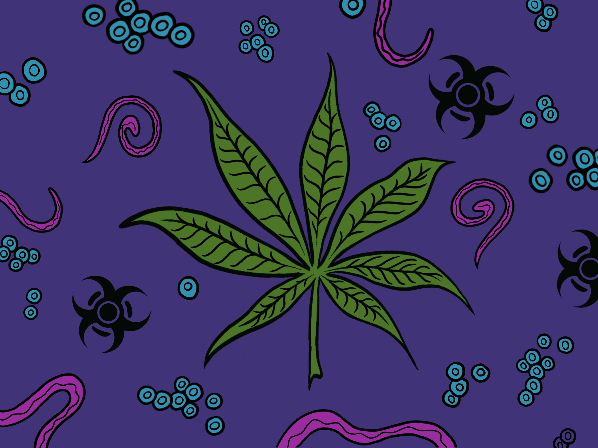 With slow licensing rollout, the cannabis industry makes it unsafe to roll up - Vimarsana News