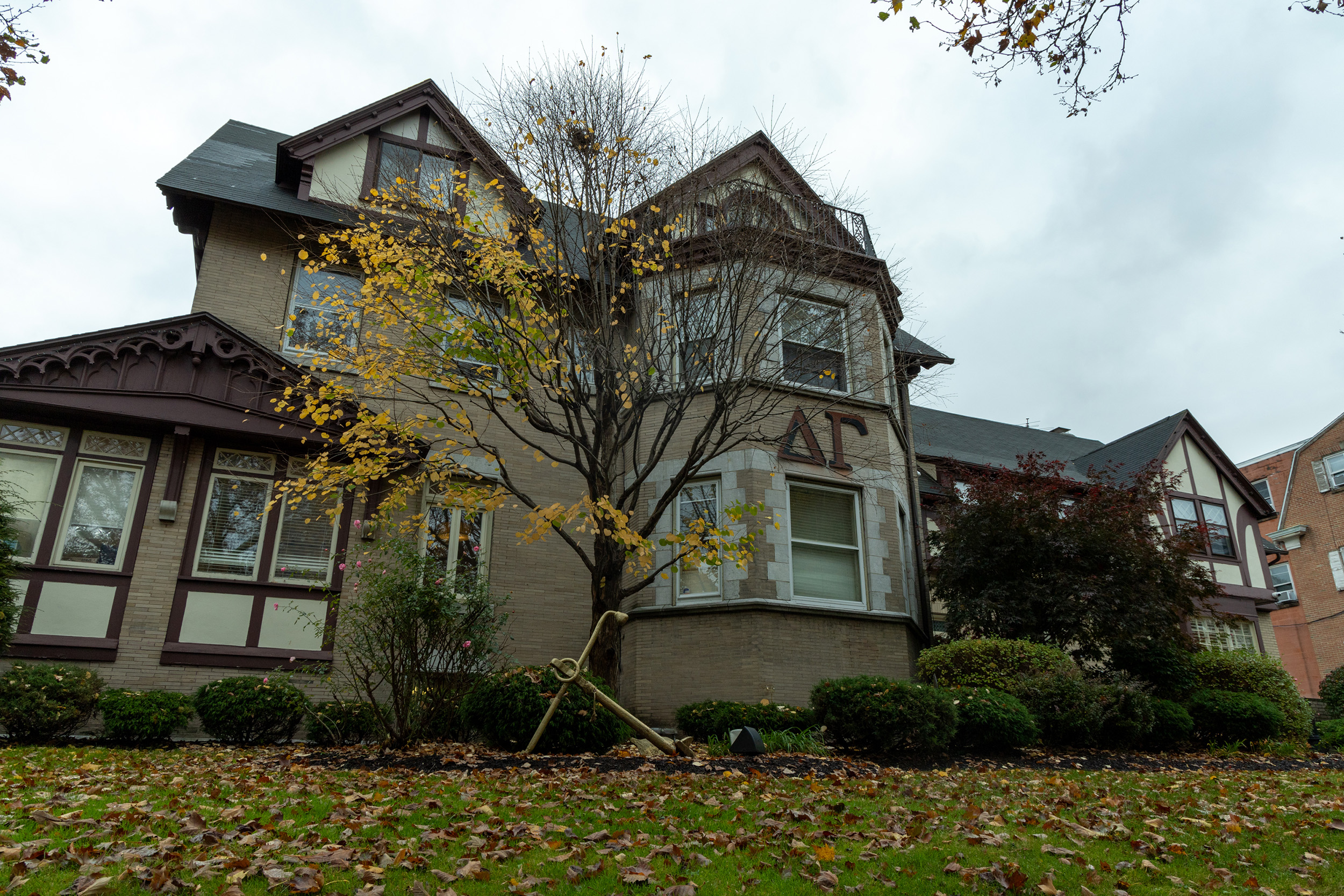 New Leda Health, Delta Gamma Fraternity partnership offers improved sexual assault resources - Vimarsana News