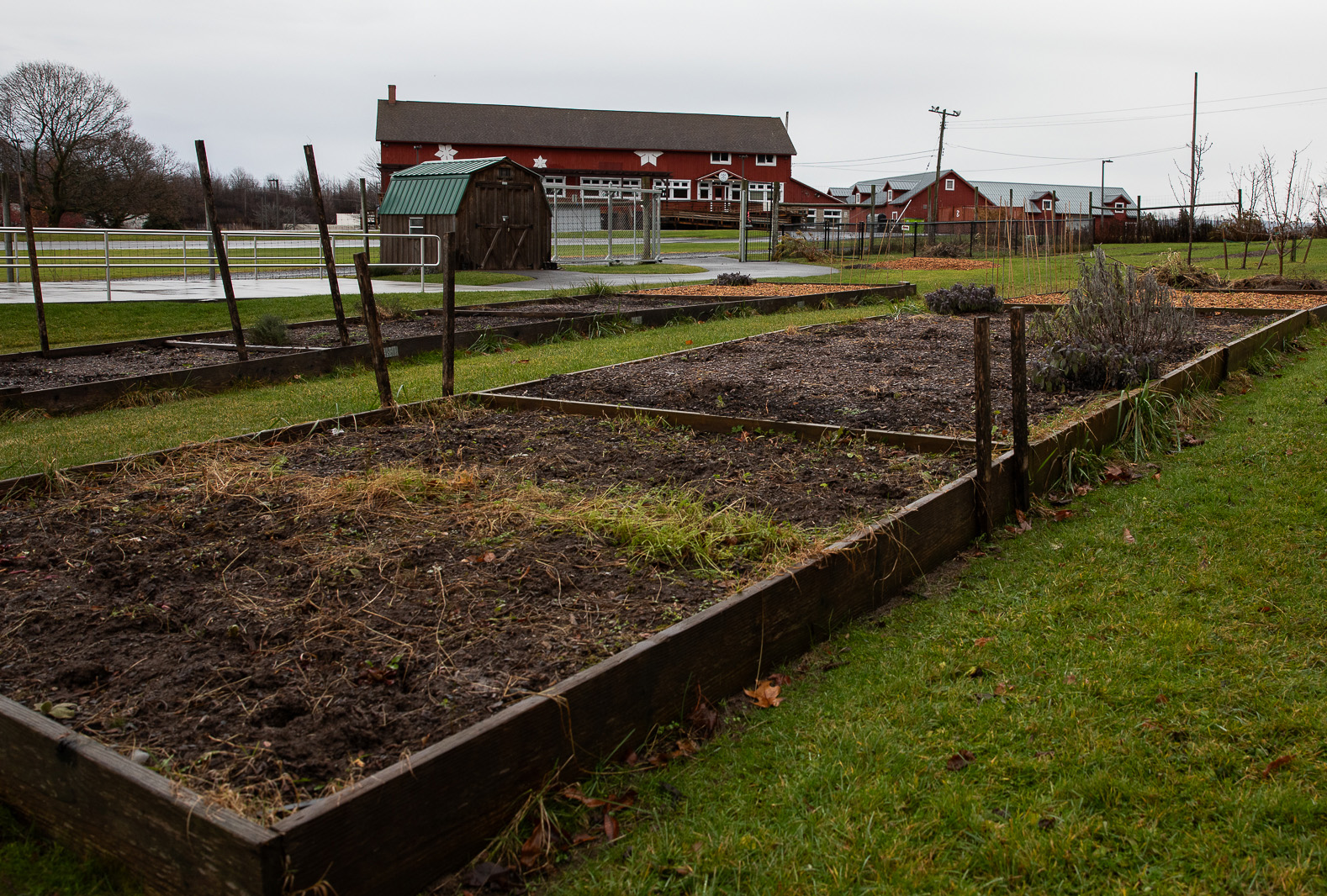 Sustainable action at SU requires effort, but shouldn't be seen as impossible - Vimarsana News