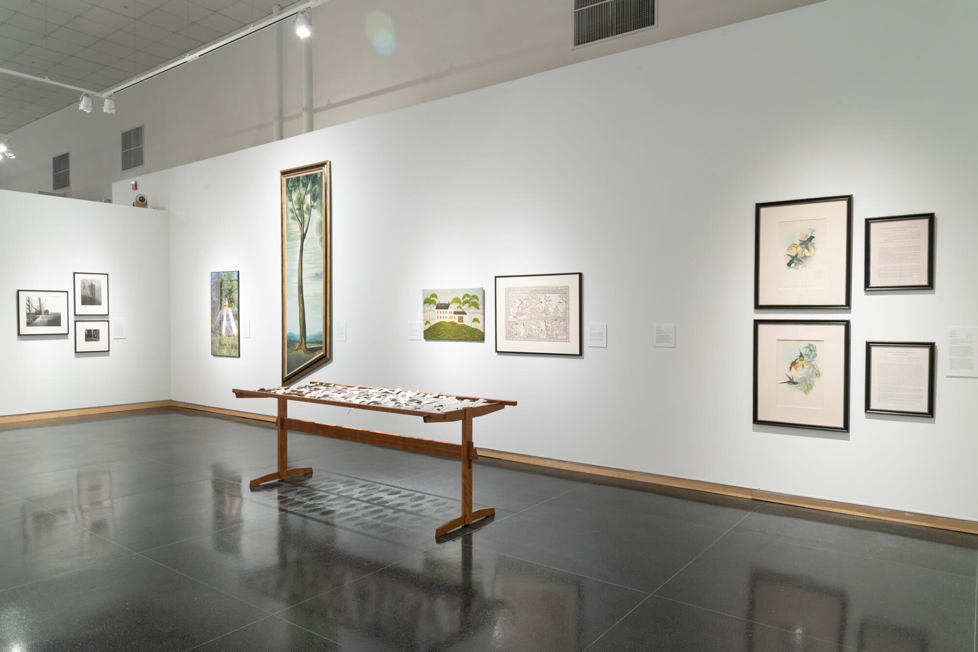 SU Art Museum allows attendees to experience ecological art from home - Vimarsana News