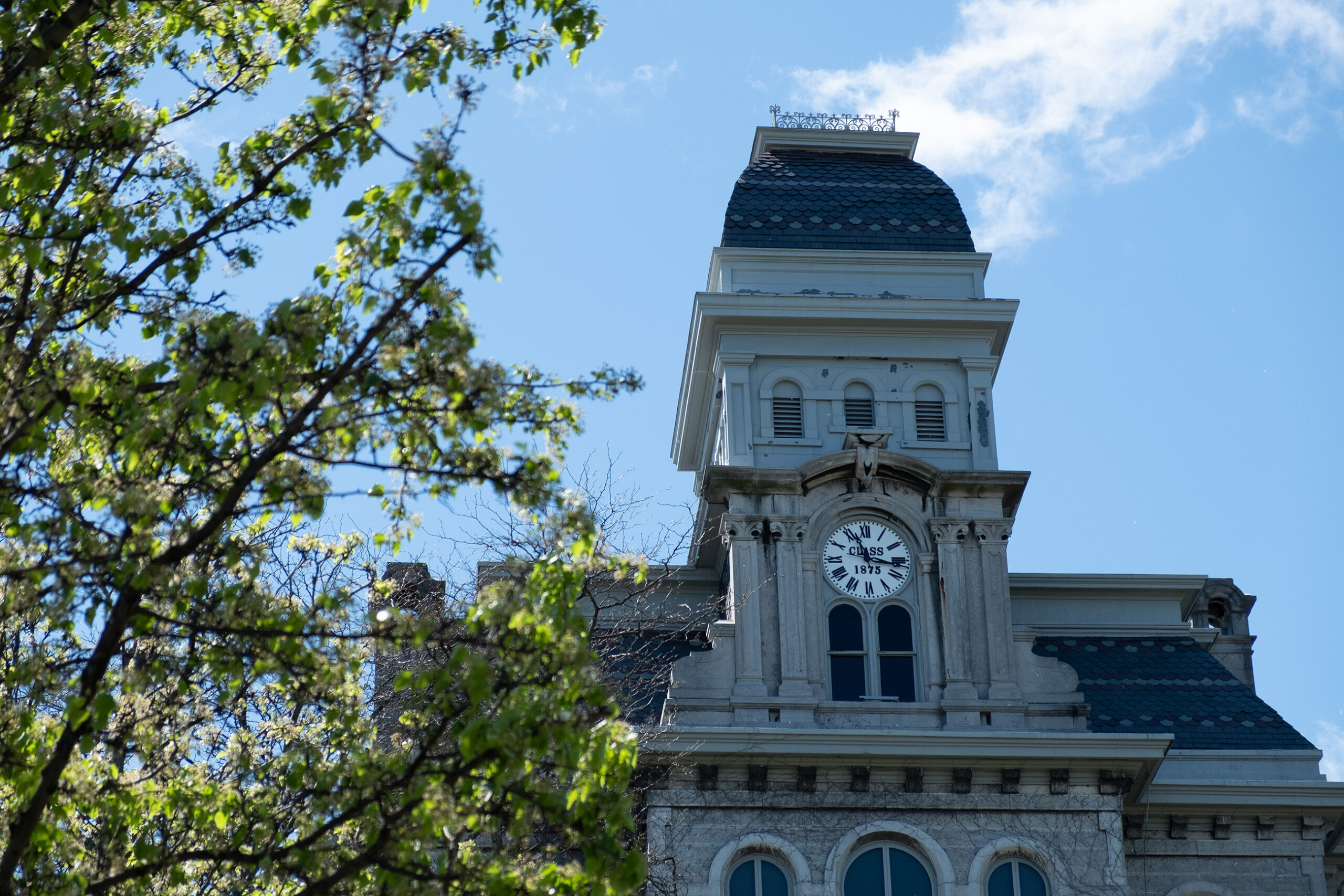 Syracuse University announces 2024 University Scholars - Vimarsana News