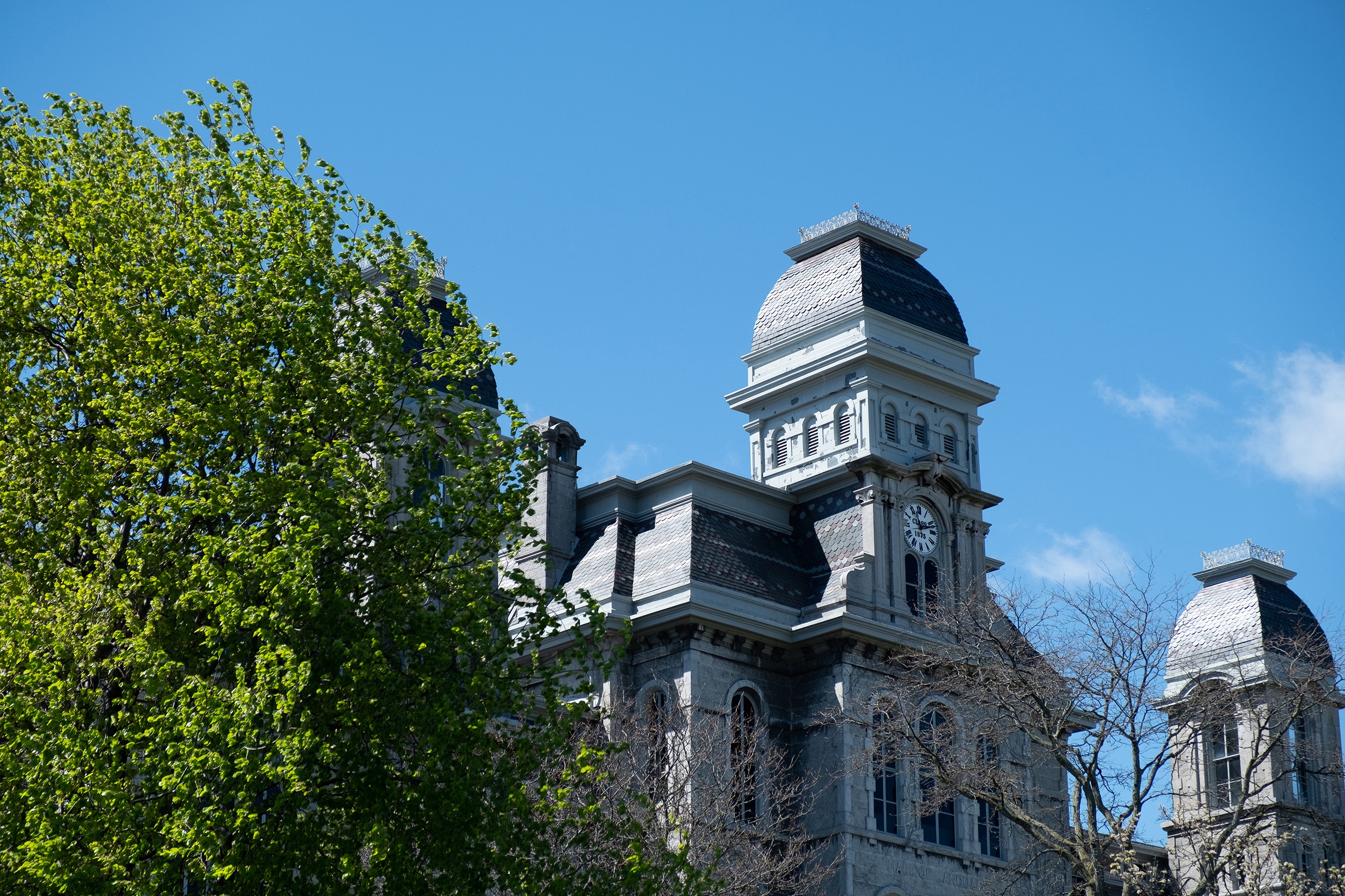 Syracuse University announces 2025 Senior Class Marshals - Vimarsana News
