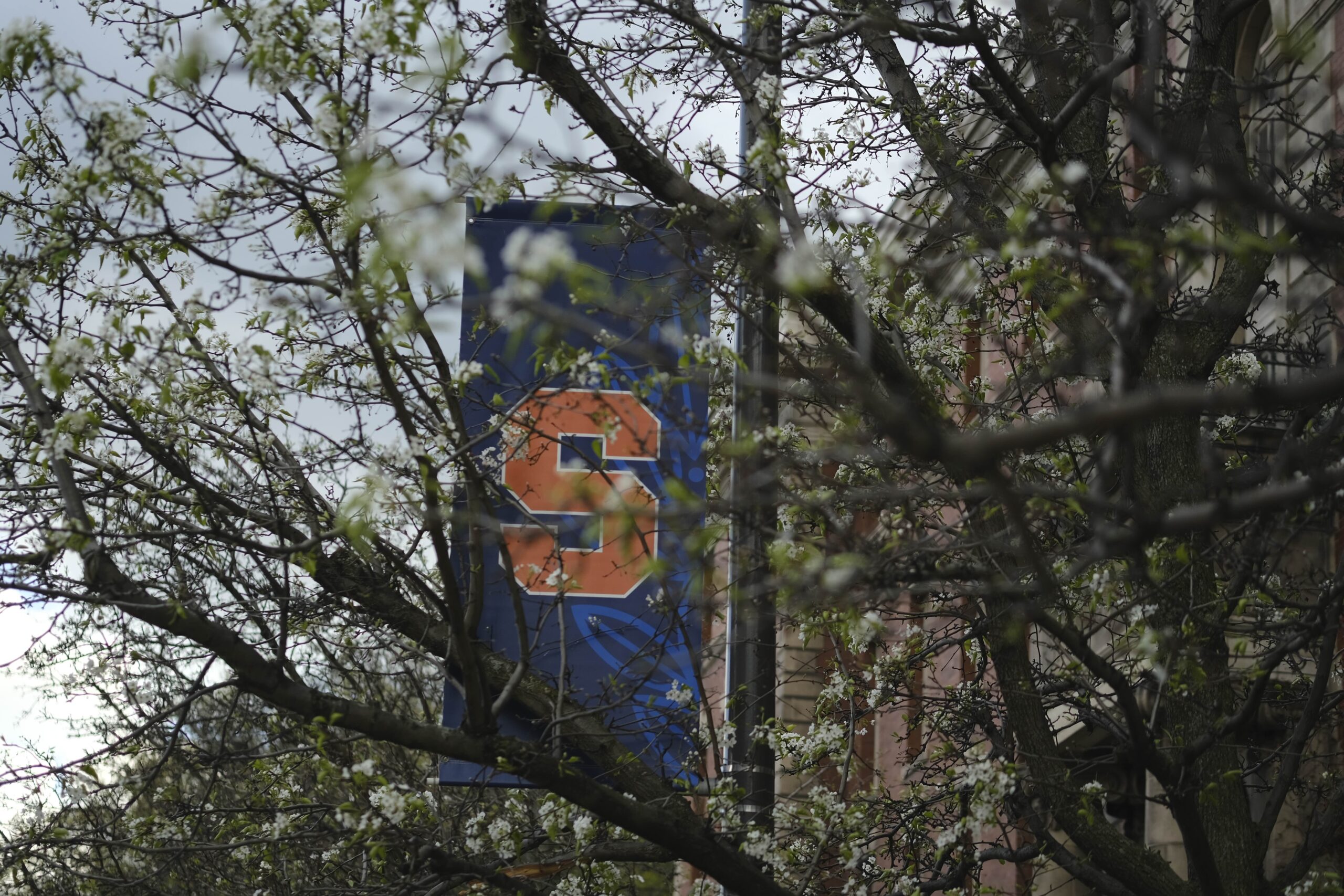 SU releases 'Syracuse Statement' on academic freedom, free speech - Vimarsana News